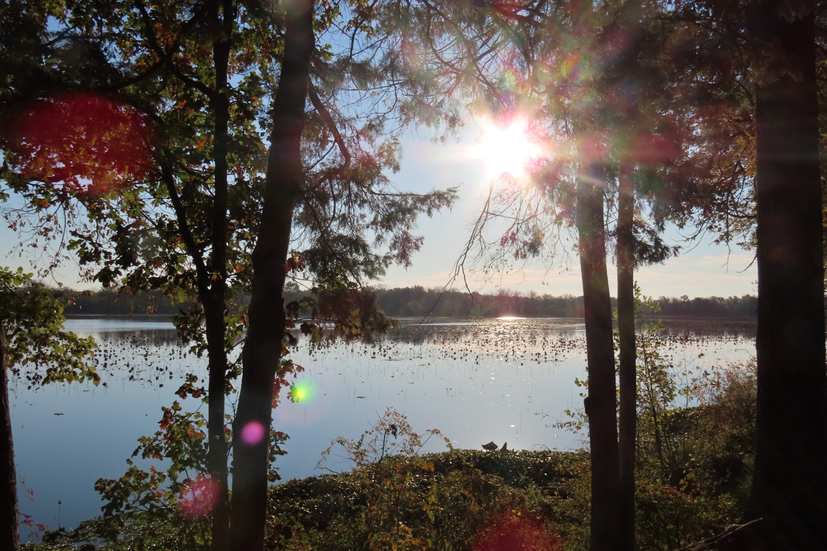 Arkansas Post National Park AR 10 of 20 (#4827)