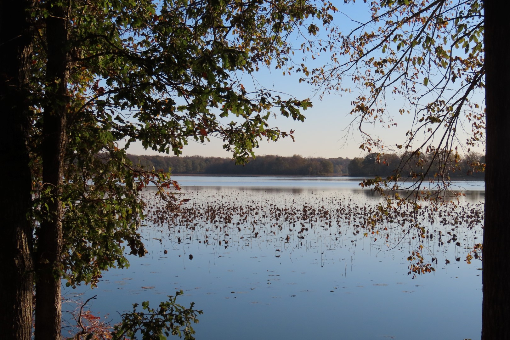 Arkansas Post National Park AR 20 of 20 (#4828)