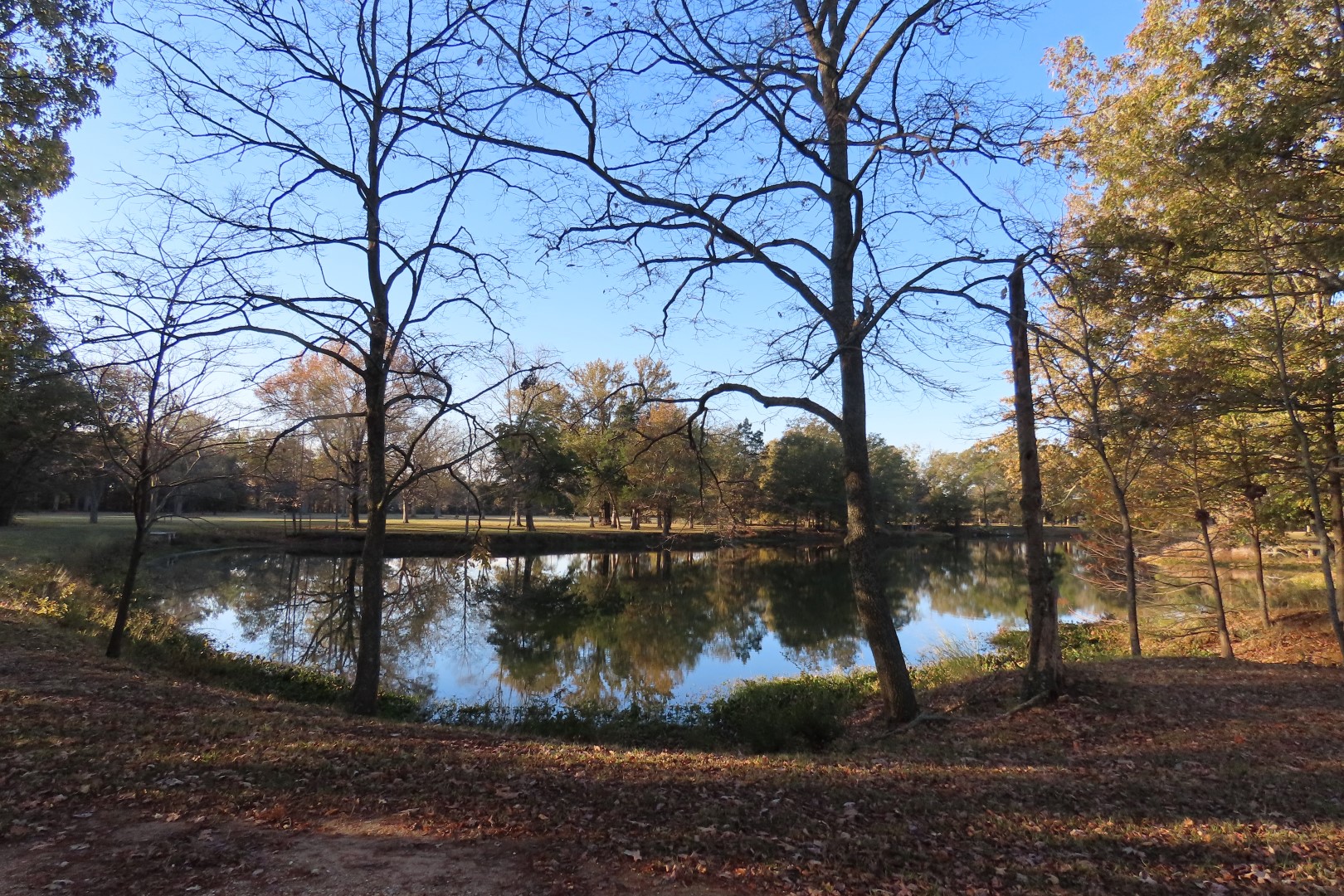 Arkansas Post National Park AR  6 of 20 (#4837)