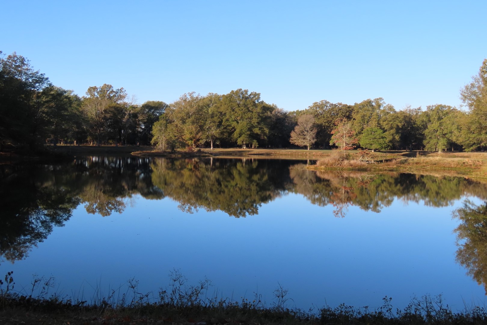 Arkansas Post National Park AR  7 of 20 (#4839)