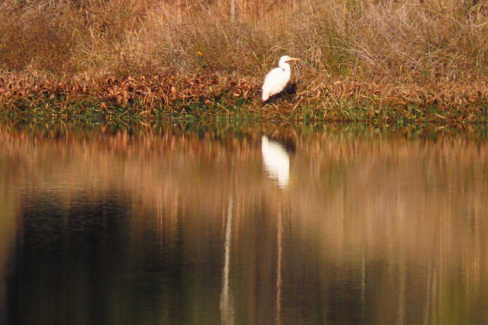 Arkansas Post National Park AR  9 of 20 (#4844)