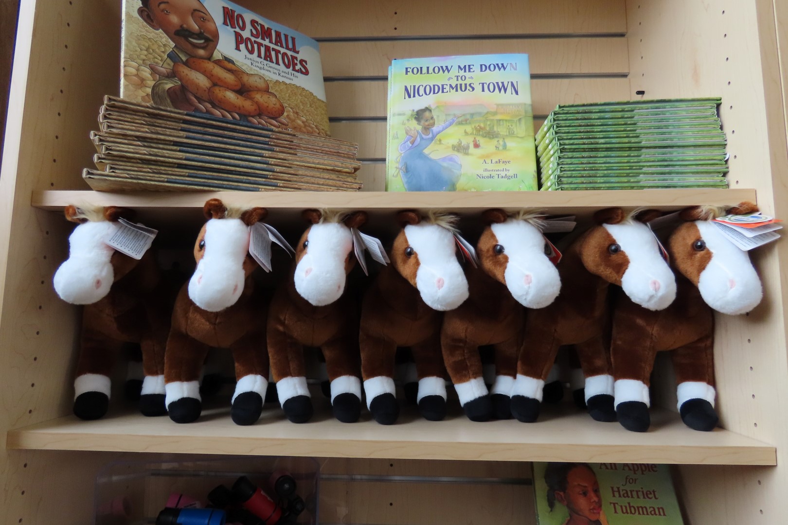 Nicodemus National Historic Site north of Hays KS 30 of 33 (#4977)