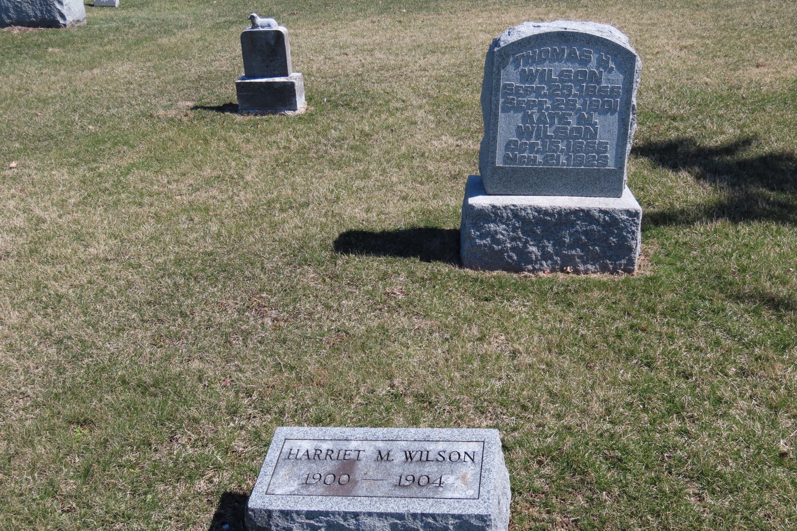 Harriett and Thomas Wilsons in Prairie View Cemetery in Delavan IL  2 of 20 (#5007)