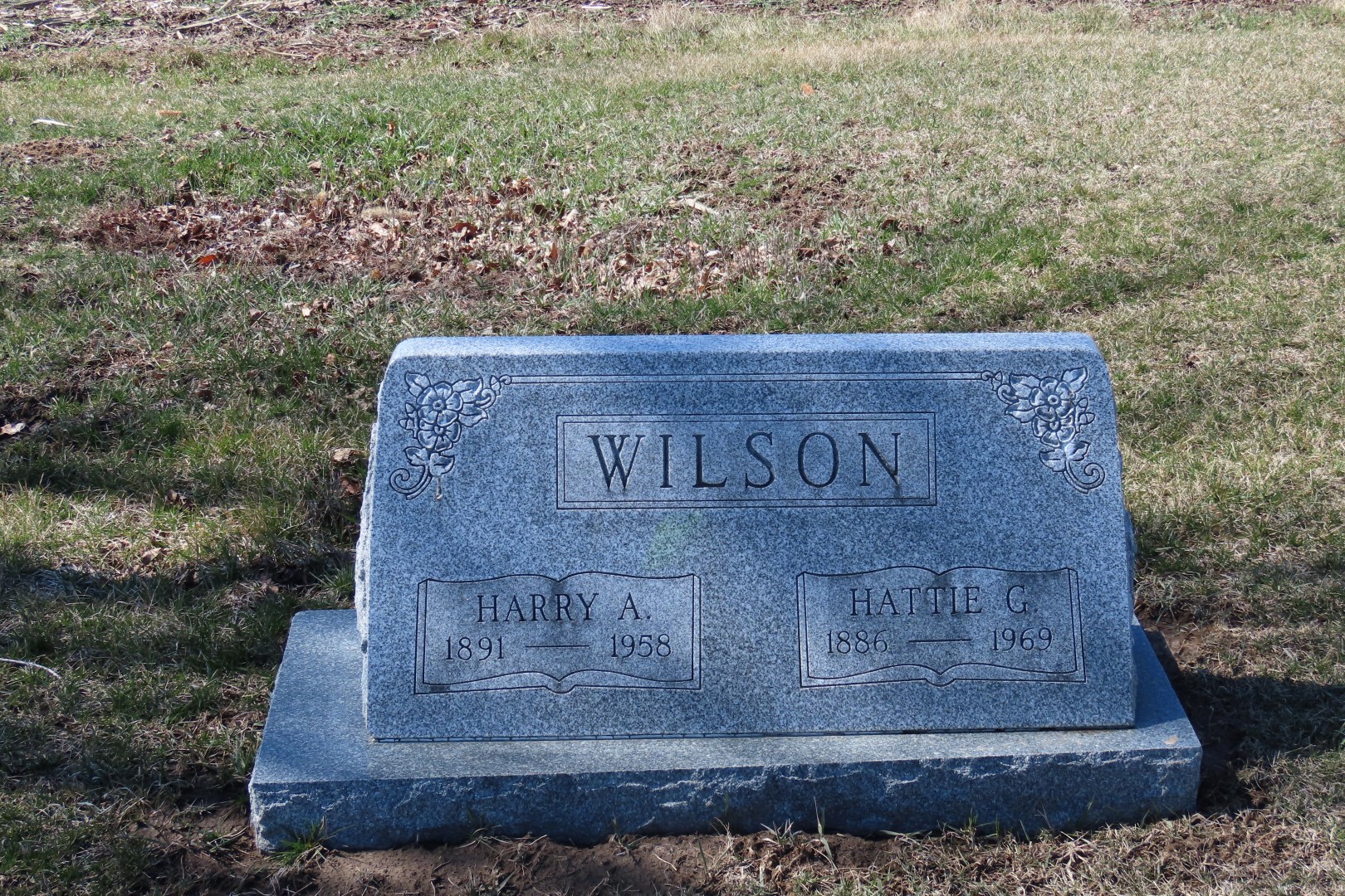 A couple named Harry and Hattie Wilson in Prairie View Cemetery in Delavan IL  9 of 20 (#5013)