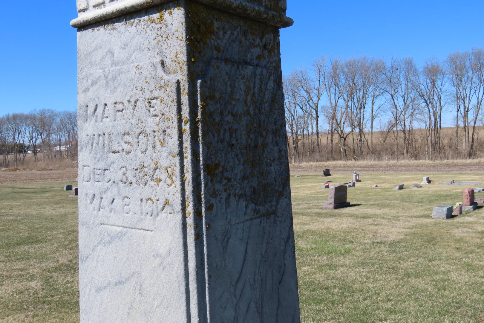 Relatives Benjamin Wilson and Family graves in Prairie View Cemetery in Delavan IL 17 of 20 (#5020)