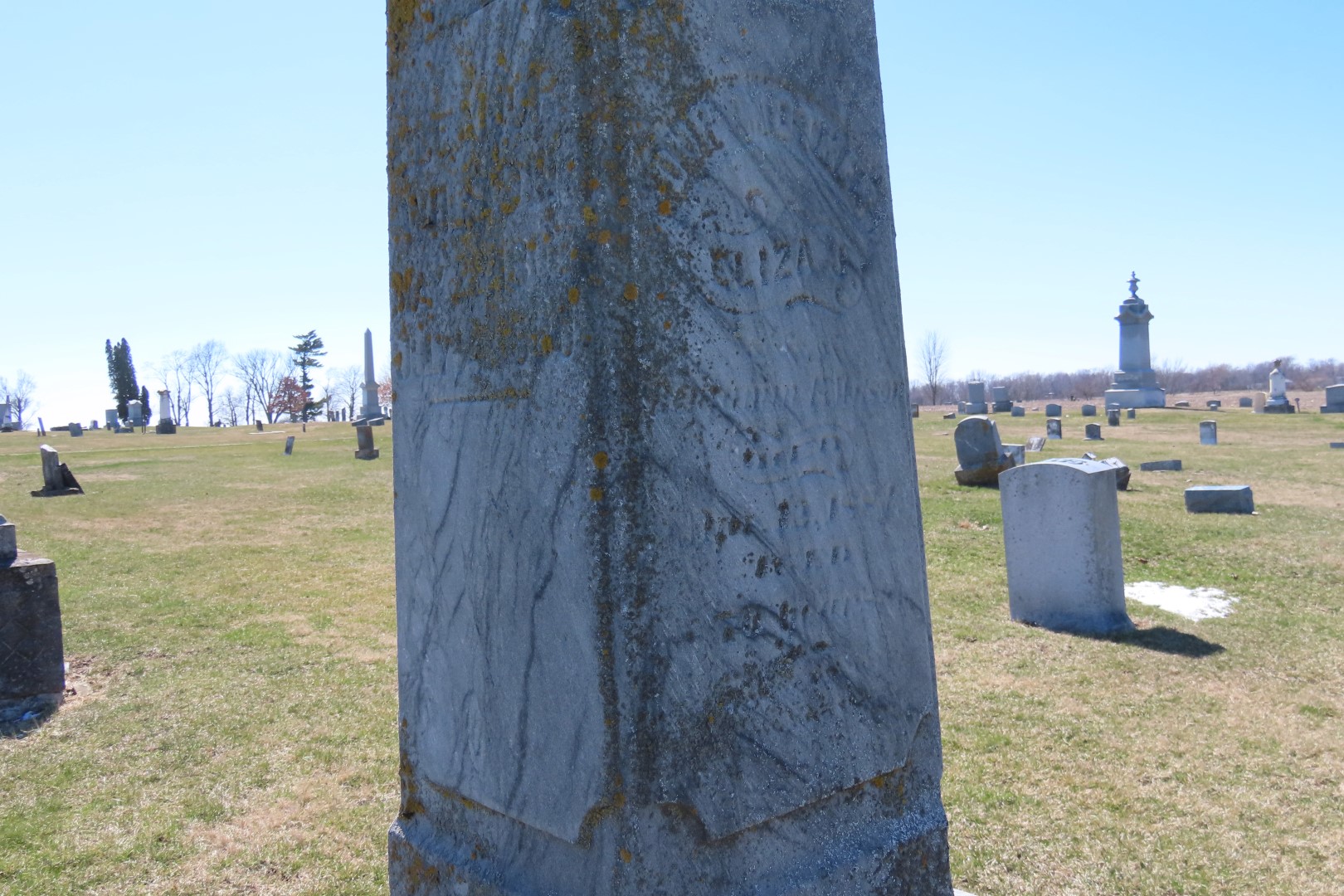 Relatives Benjamin Wilson and Family graves in Prairie View Cemetery in Delavan IL 18 of 20 (#5021)