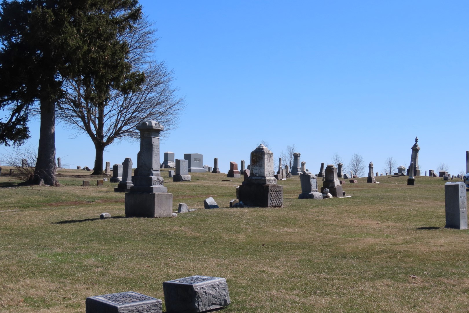 Relatives Benjamin Wilson and Family graves in Prairie View Cemetery in Delavan IL 11 of 20 (#5028)