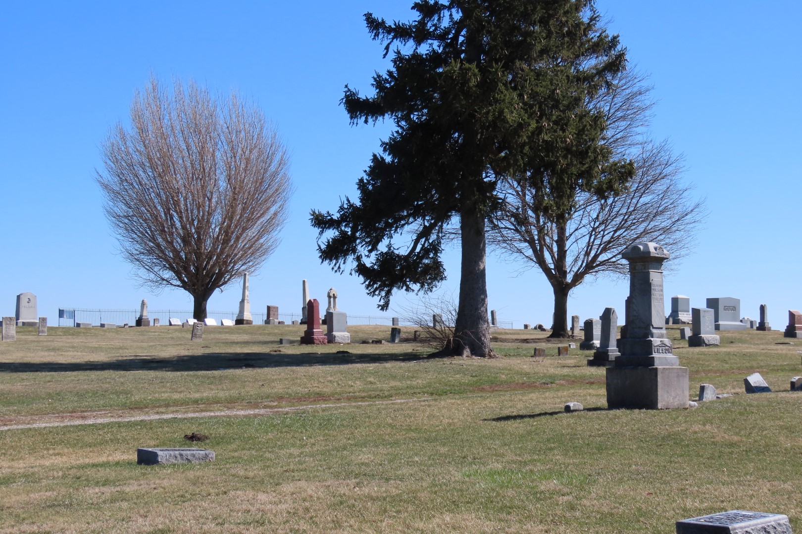 Relatives Benjamin Wilson and Family graves in Prairie View Cemetery in Delavan IL 12 of 20 (#5029)