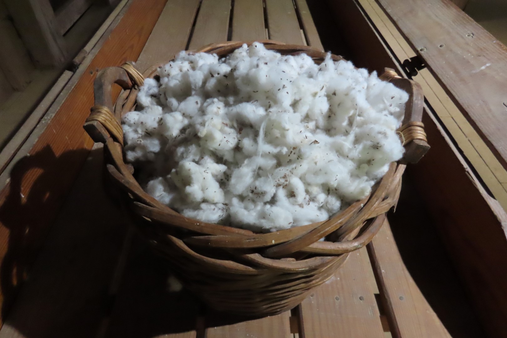 Cane River Creole National Historic Park 16 of 21 (#5048)