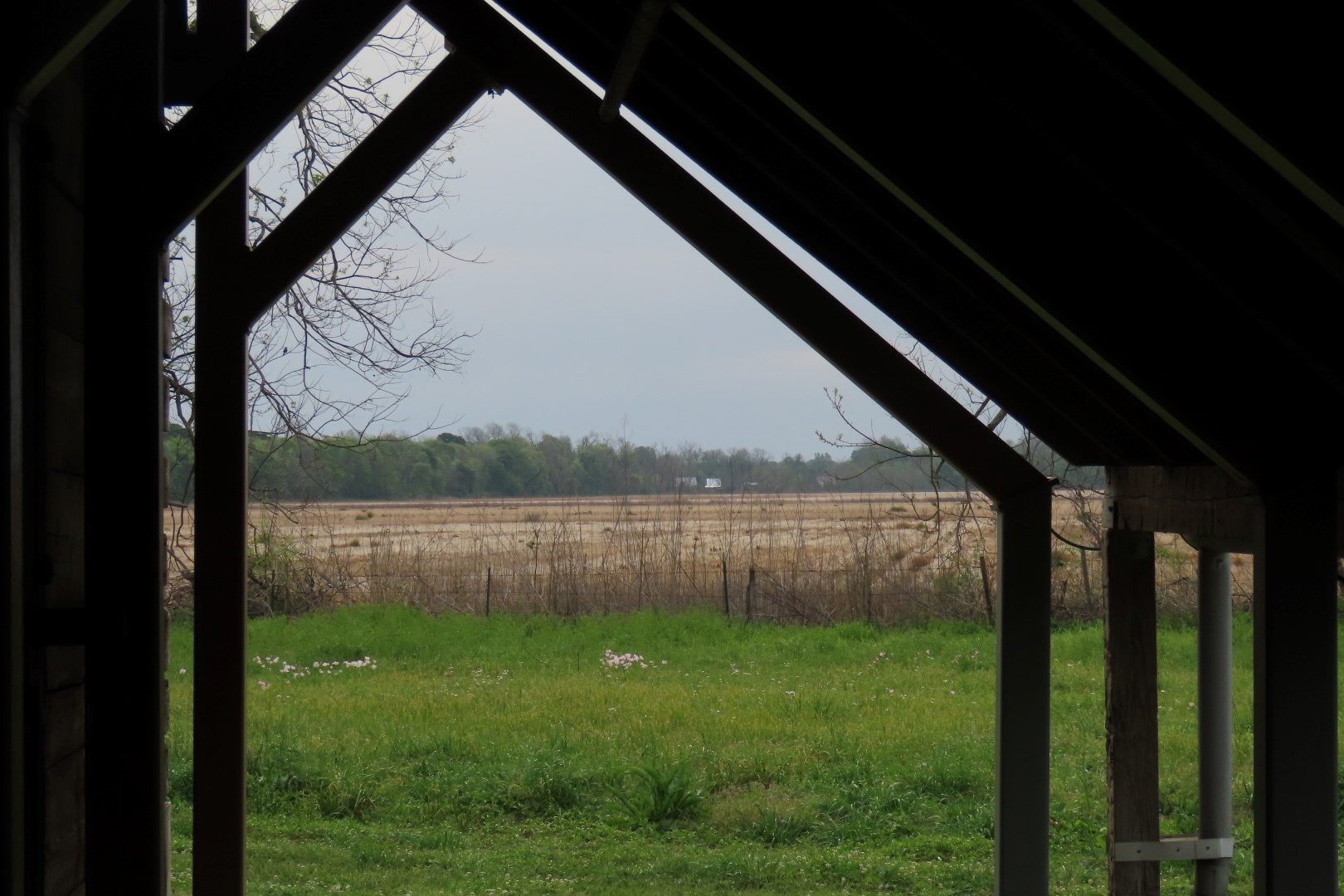 Cane River Creole National Historic Park 19 of 21 (#5051)