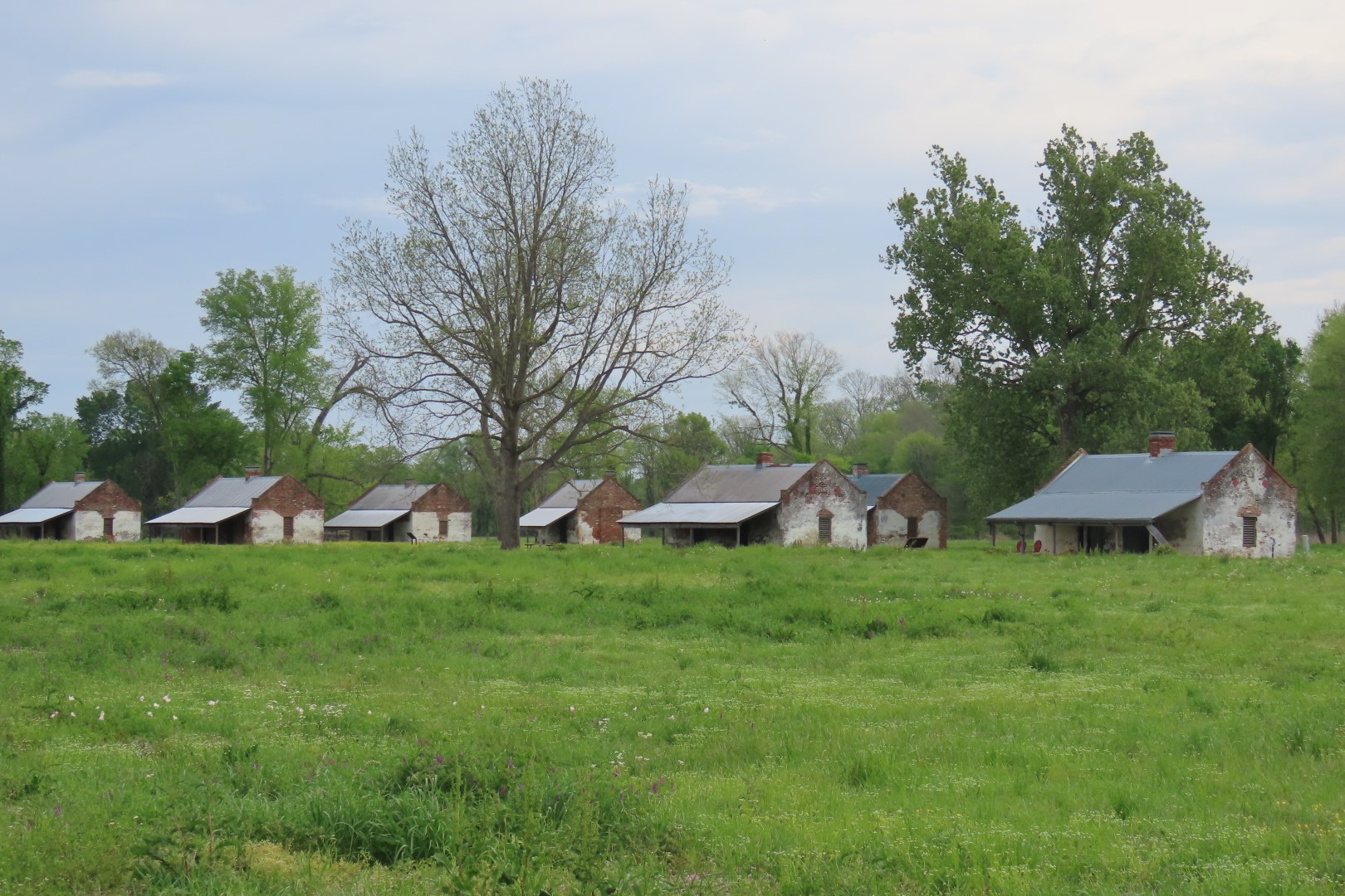 Cane River Creole National Historic Park 22 of 21 (#5052)