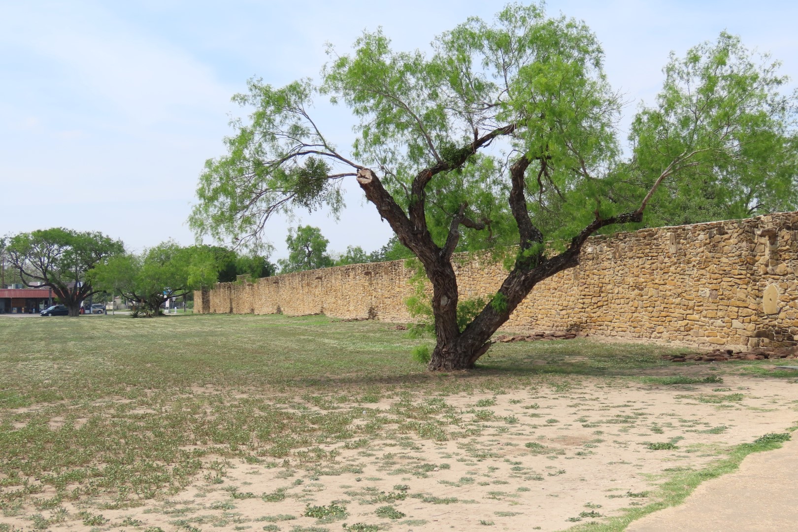 San Antonio Missions National Historic Park 10 of 17 (#5099)