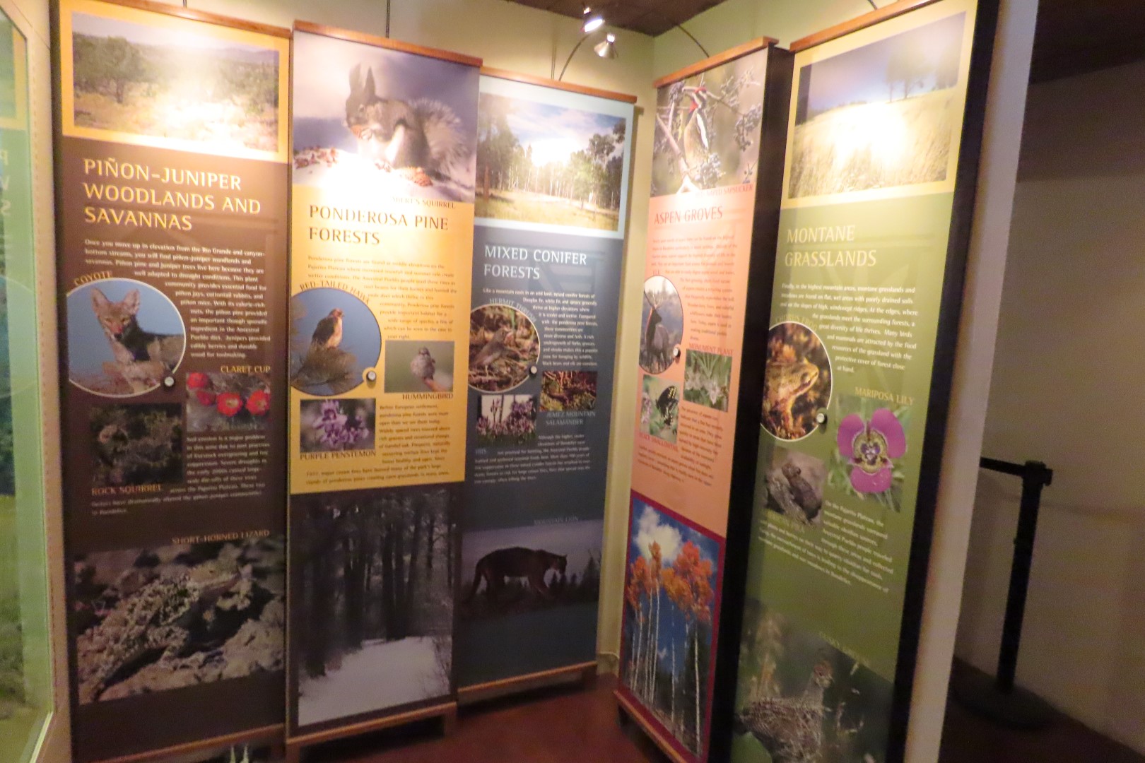 Bandelier National Monument 10 of 40 (#5128)