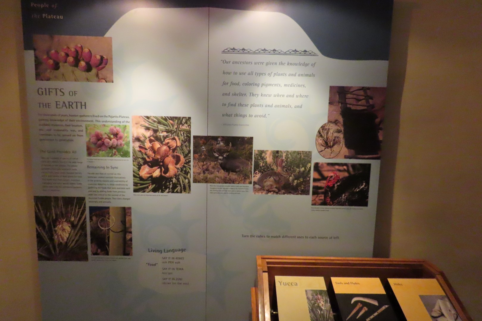 Bandelier National Monument 23 of 40 (#5141)