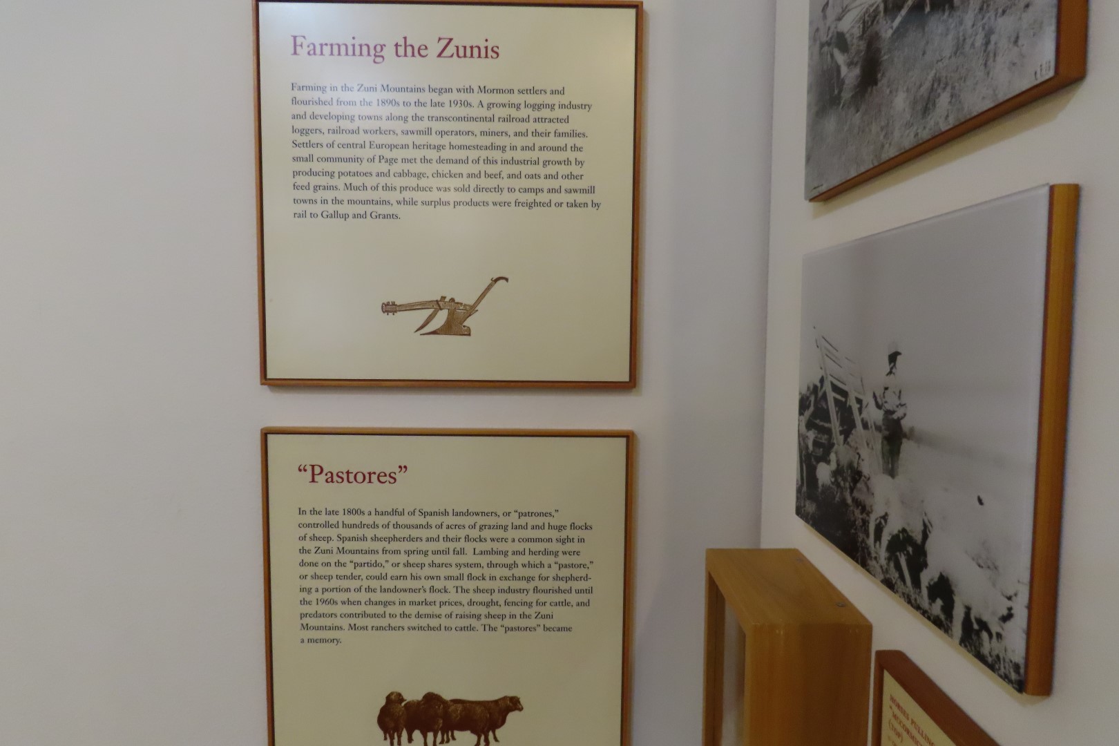 El Malpais National Monument 11 of 23 (#5170)