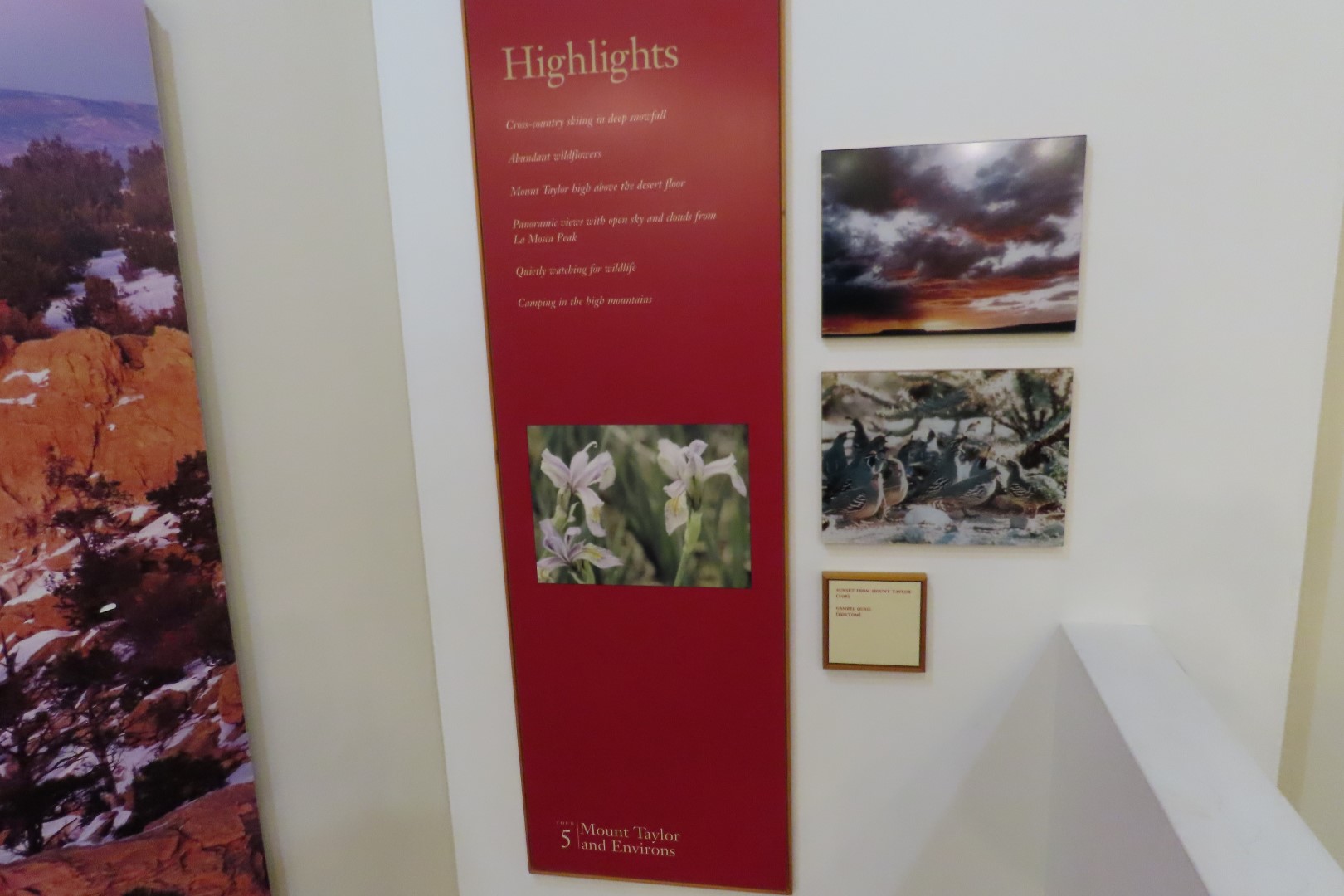 El Malpais National Monument 14 of 23 (#5173)