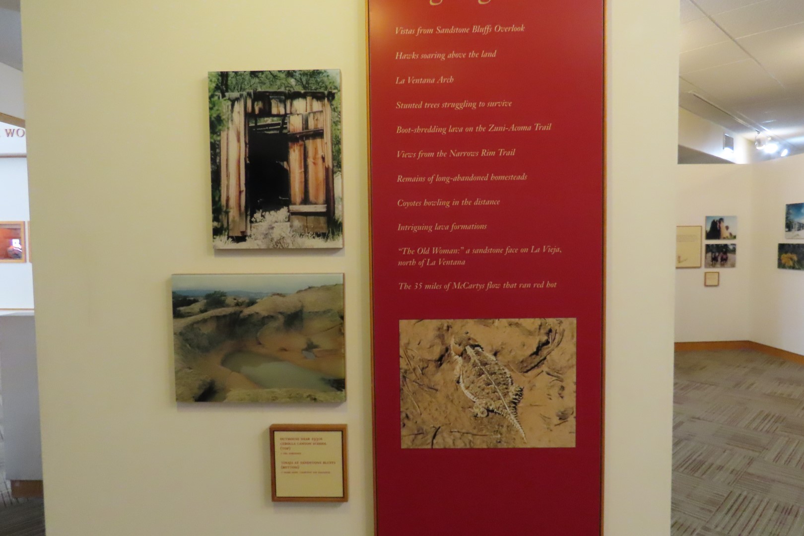 El Malpais National Monument 23 of 23 (#5182)