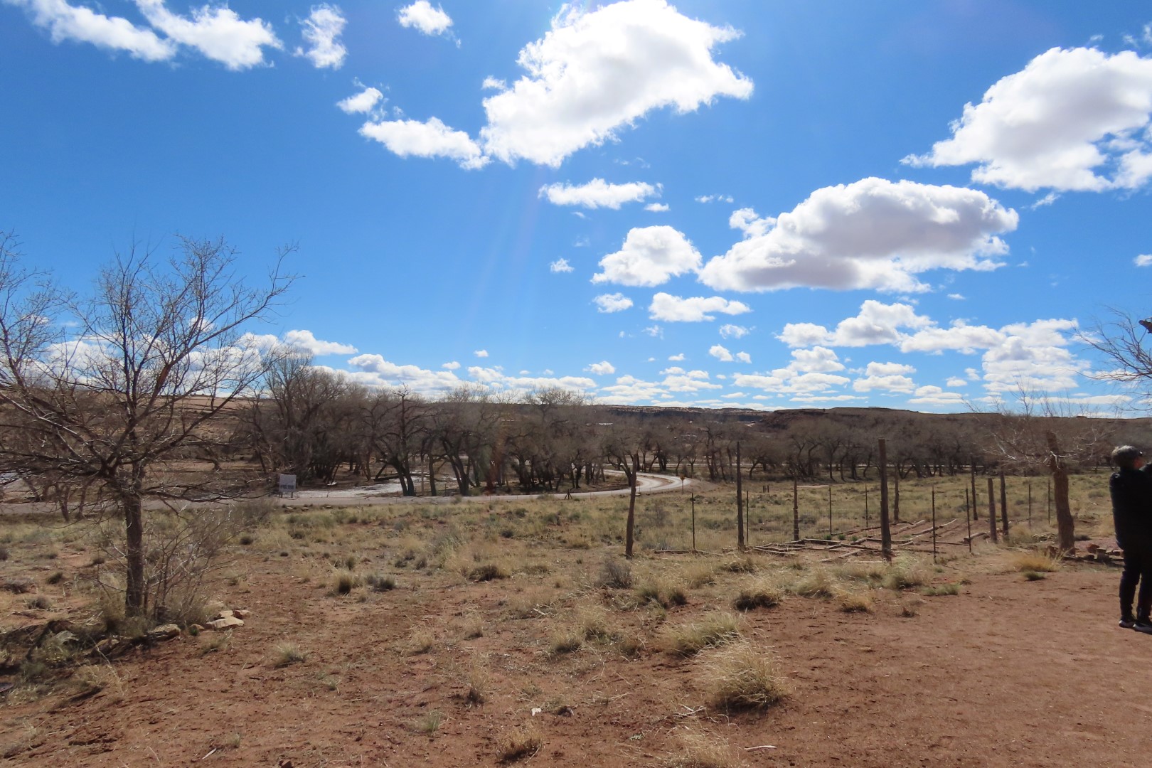 Canyon de Chelley National Monument  8 of 16 (#5221)