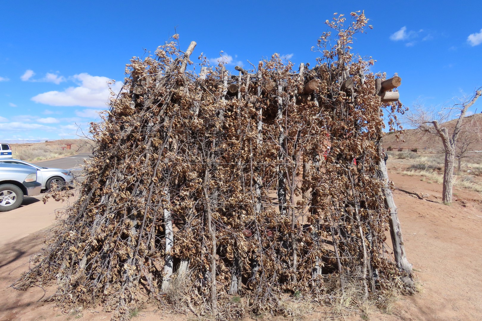 Canyon de Chelley National Monument 10 of 16 (#5223)
