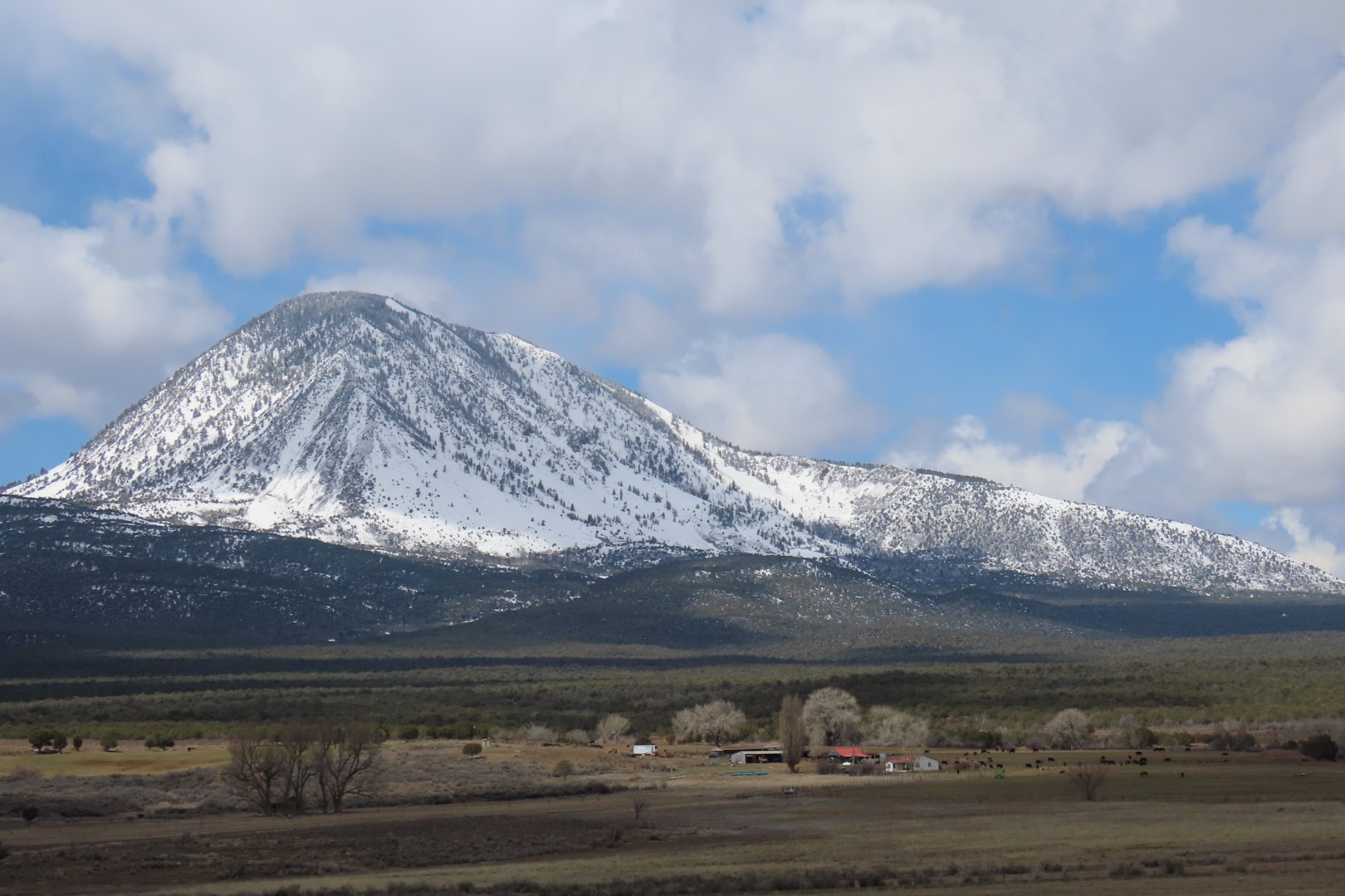 Yucca House National Monument 13 of 18 (#5260)