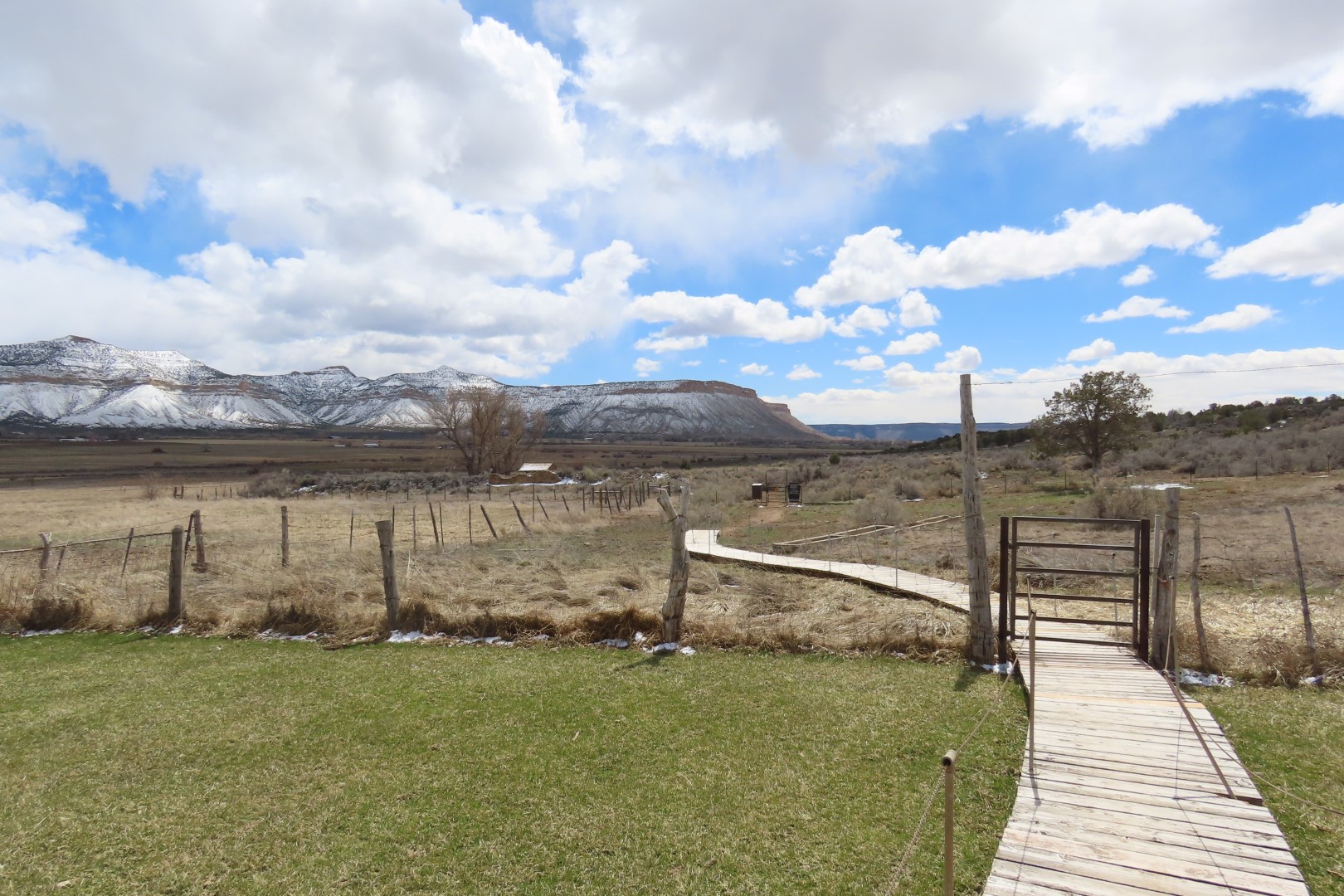 Yucca House National Monument  3 of 18 (#5262)