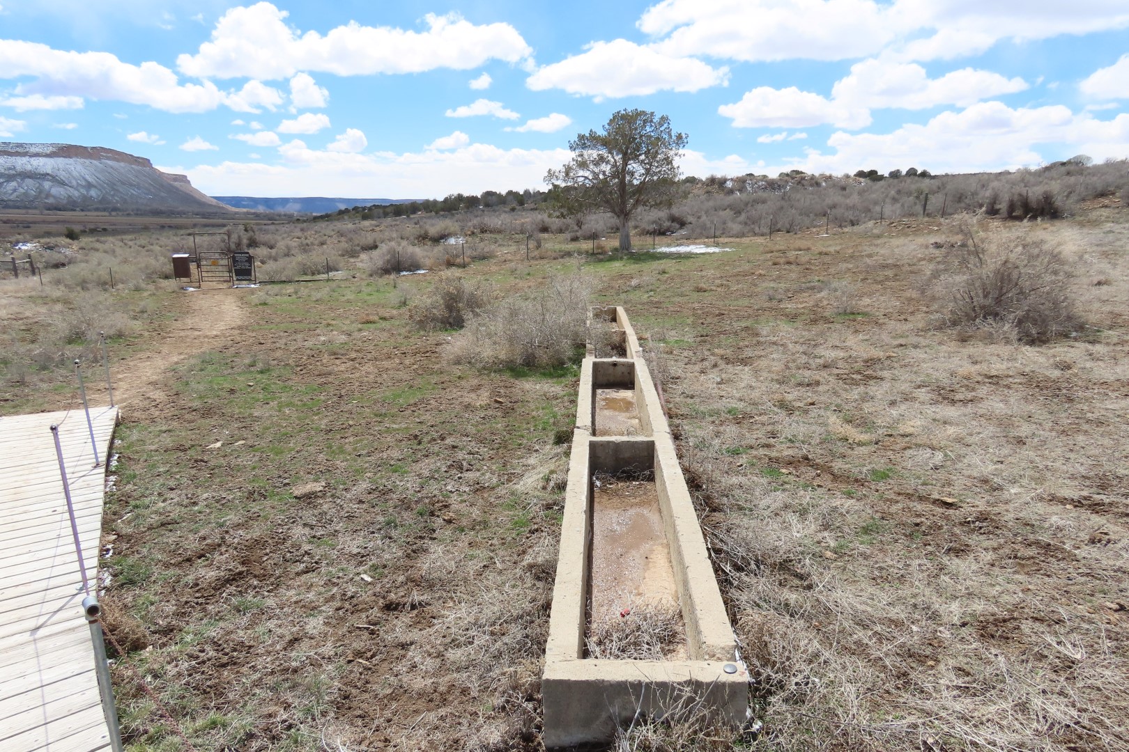 Yucca House National Monument  4 of 18 (#5263)