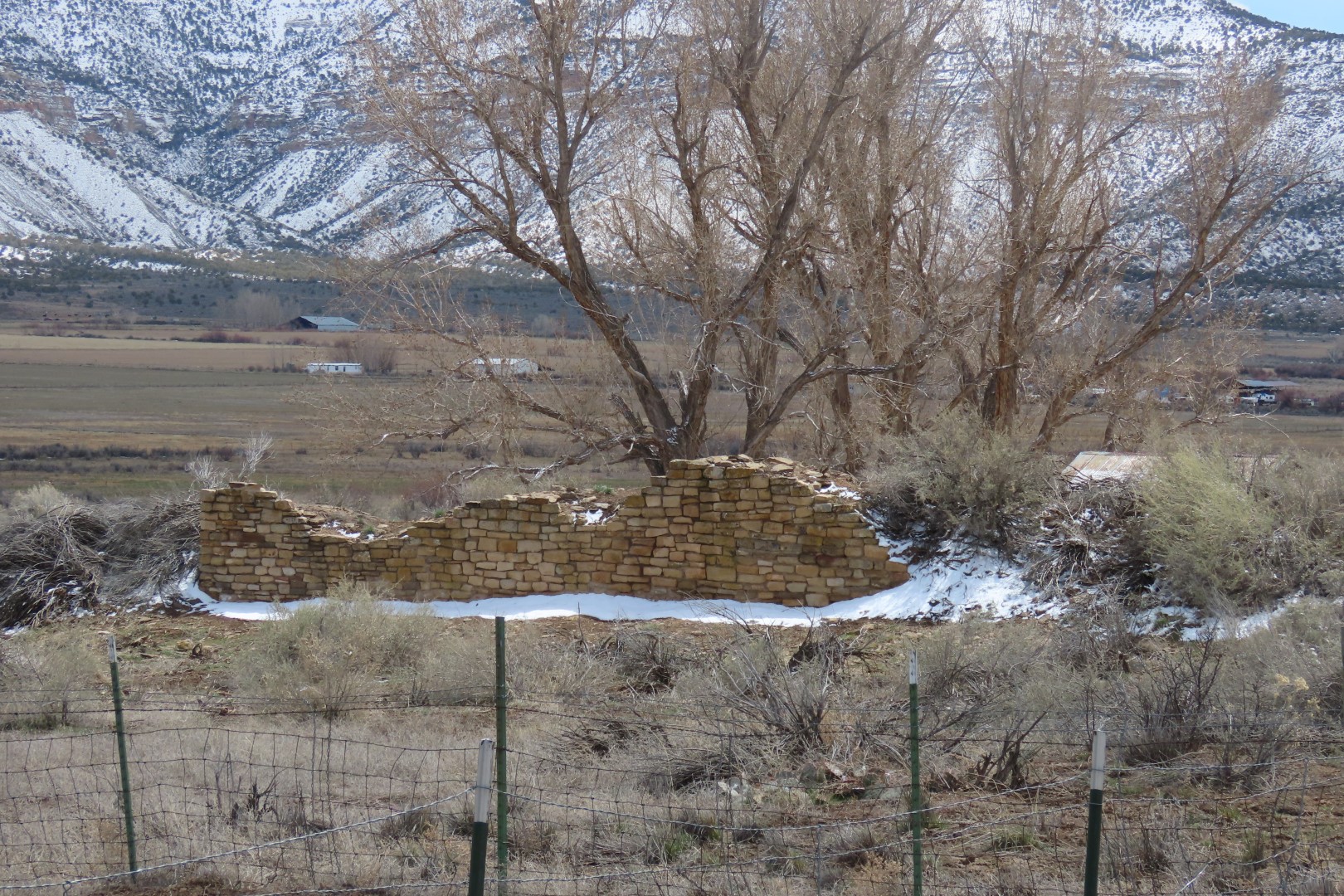 Yucca House National Monument  6 of 18 (#5267)