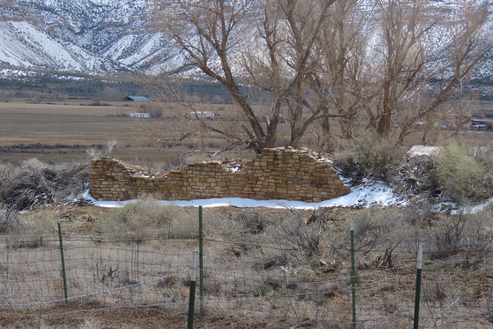 Yucca House National Monument  7 of 18 (#5268)