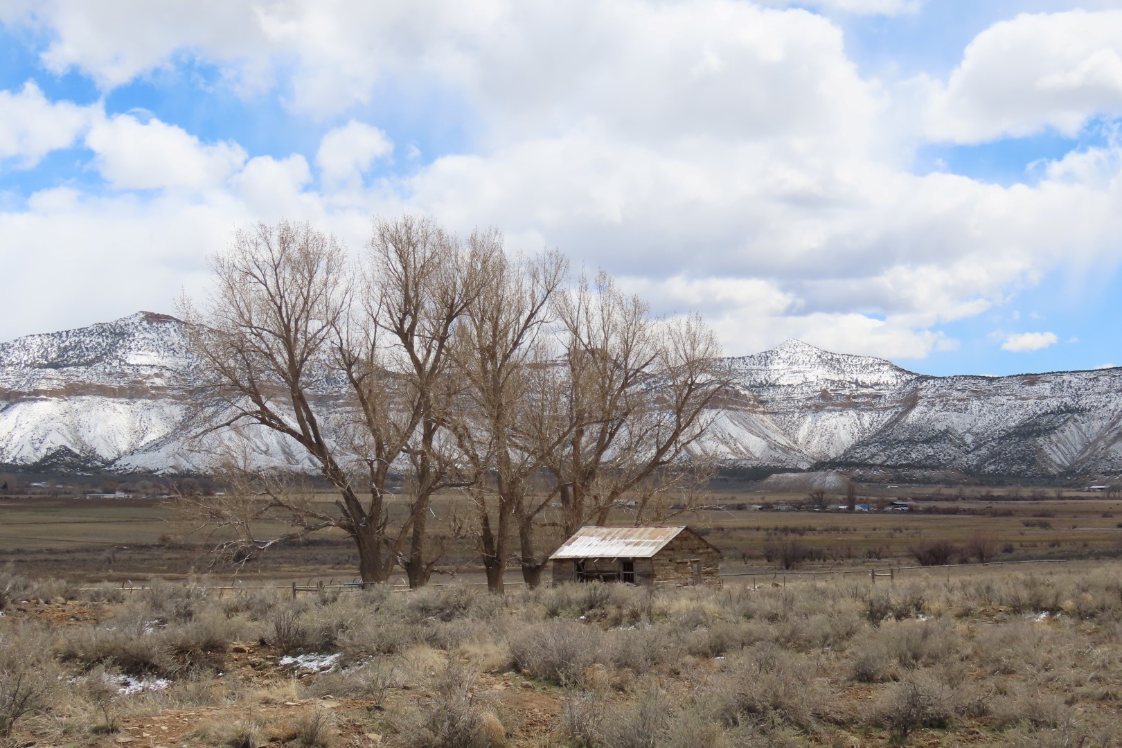 Yucca House National Monument 10 of 18 (#5272)