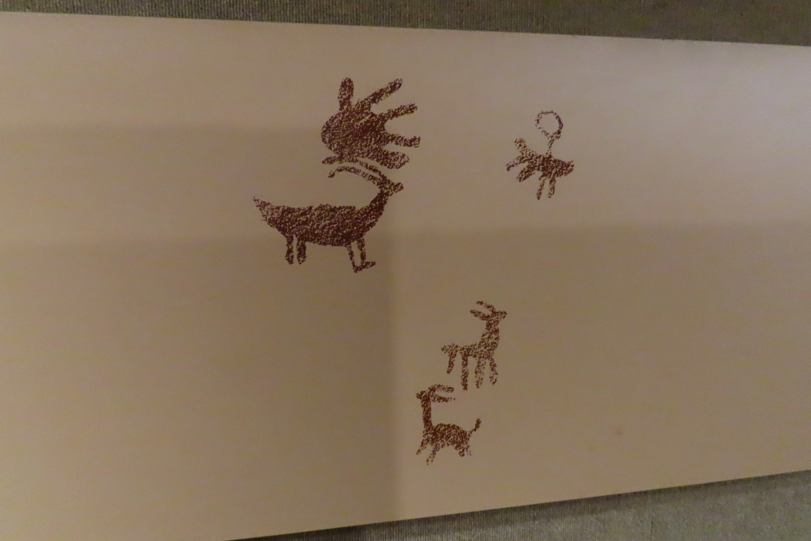 Navajo National Monument 14 of 24 (#5289)