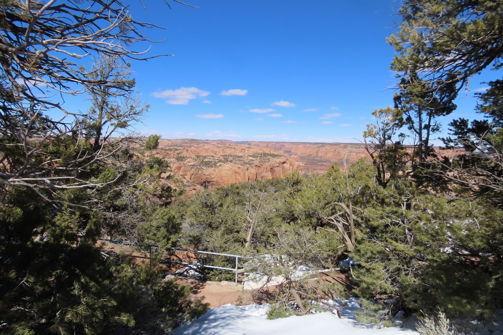 Navajo National Monument 17 of 24 (#5292)