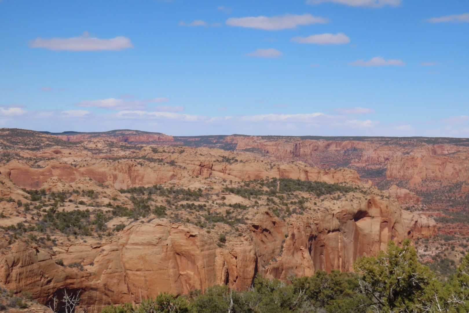 Navajo National Monument 18 of 24 (#5293)