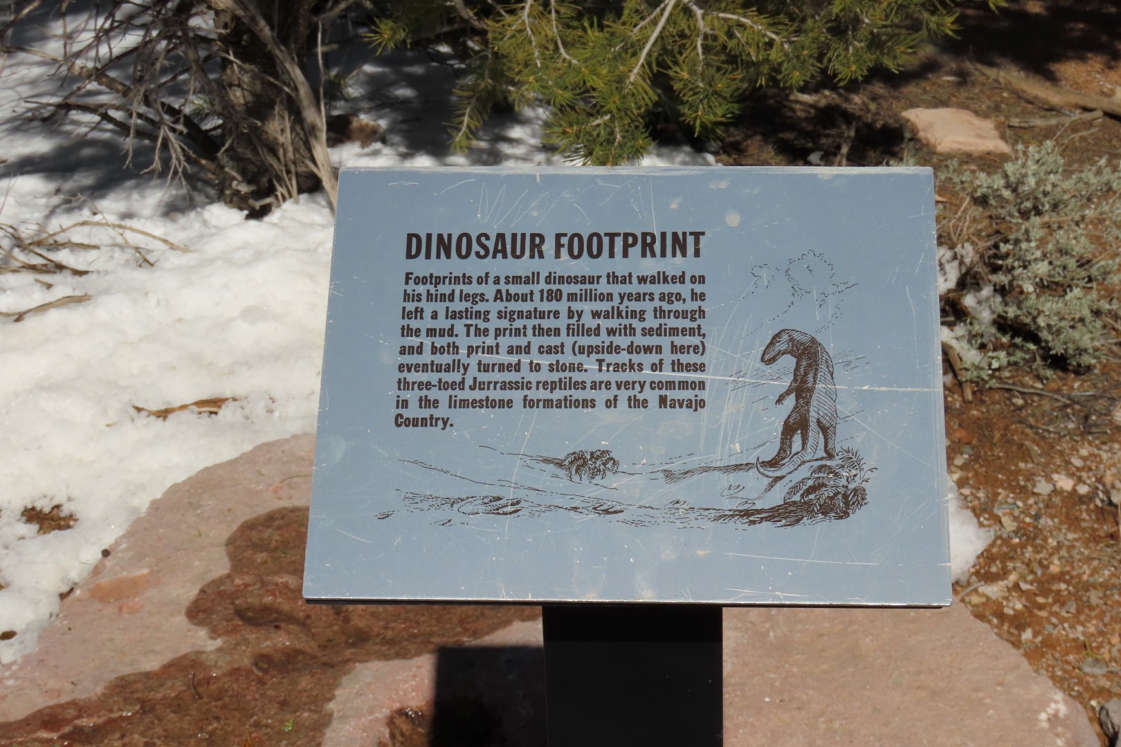 Navajo National Monument 20 of 24 (#5295)