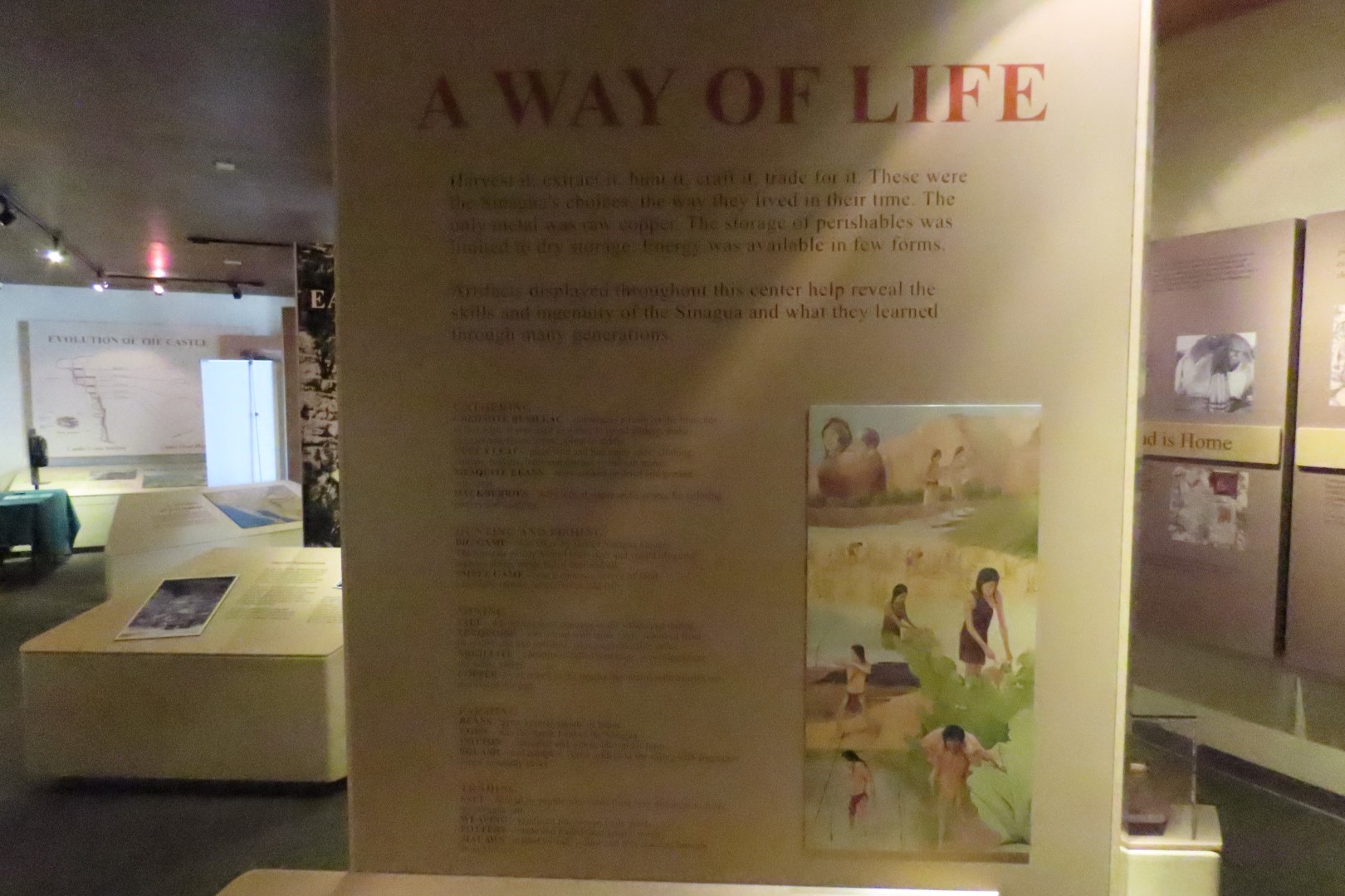 Montezuma Castle National Monument 14 of 36 (#5315)