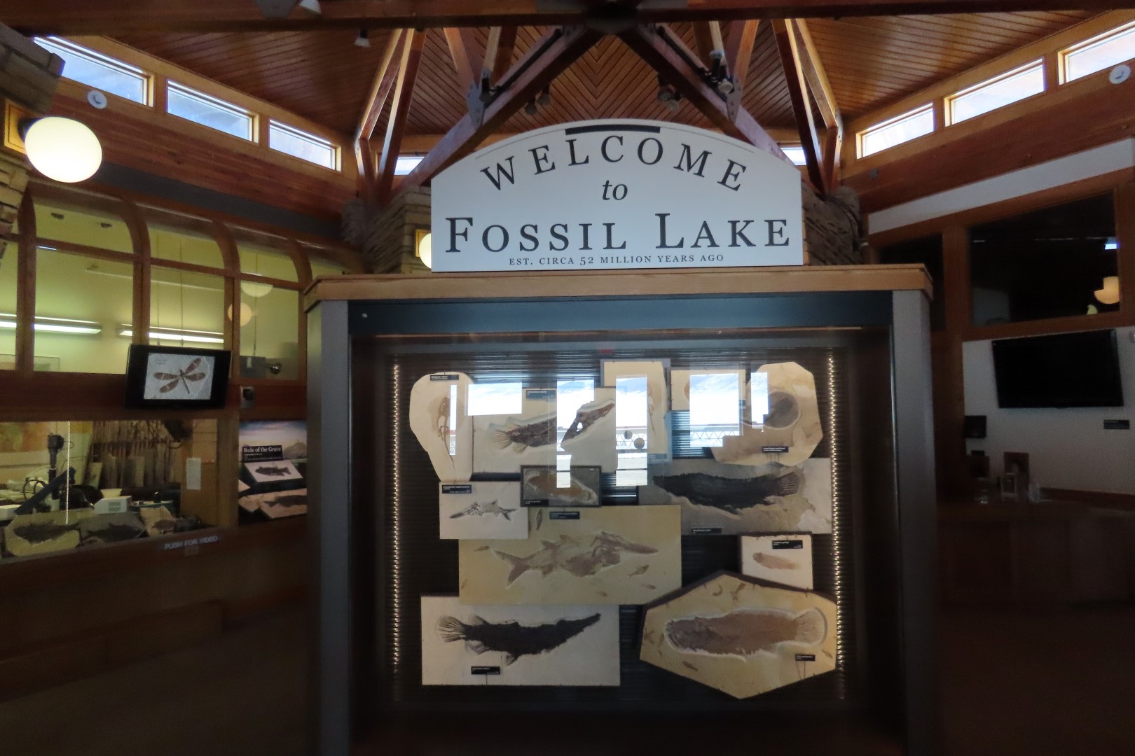 Fossil Butte National Monument 10 of 34 (#5379)