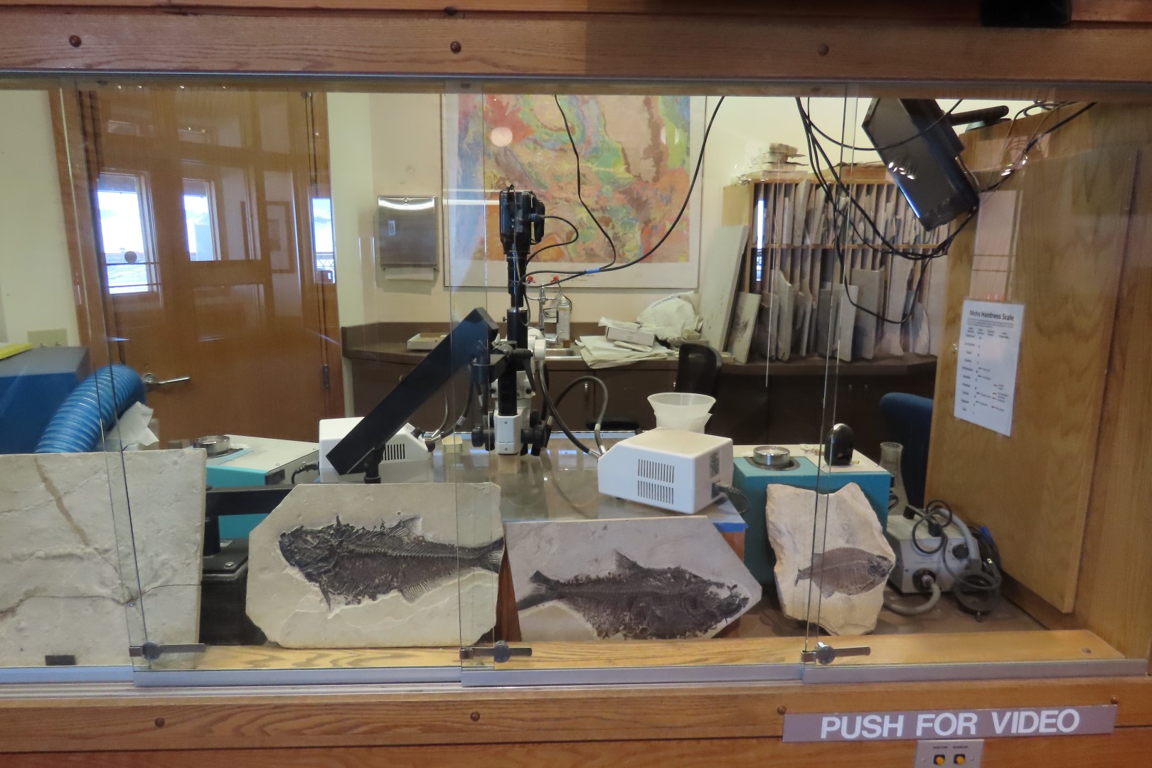 Fossil Butte National Monument 12 of 34 (#5381)