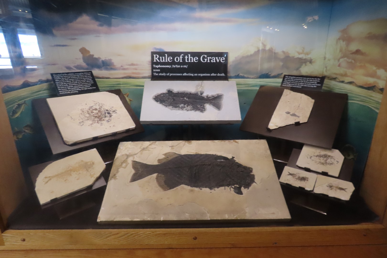 Fossil Butte National Monument 13 of 34 (#5382)