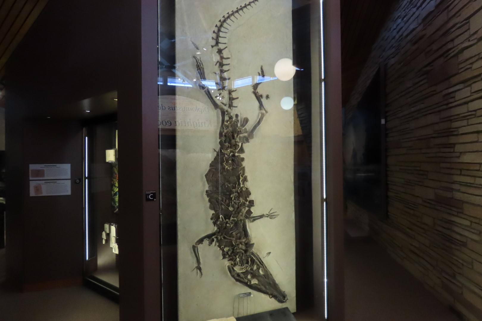 Fossil Butte National Monument 14 of 34 (#5383)