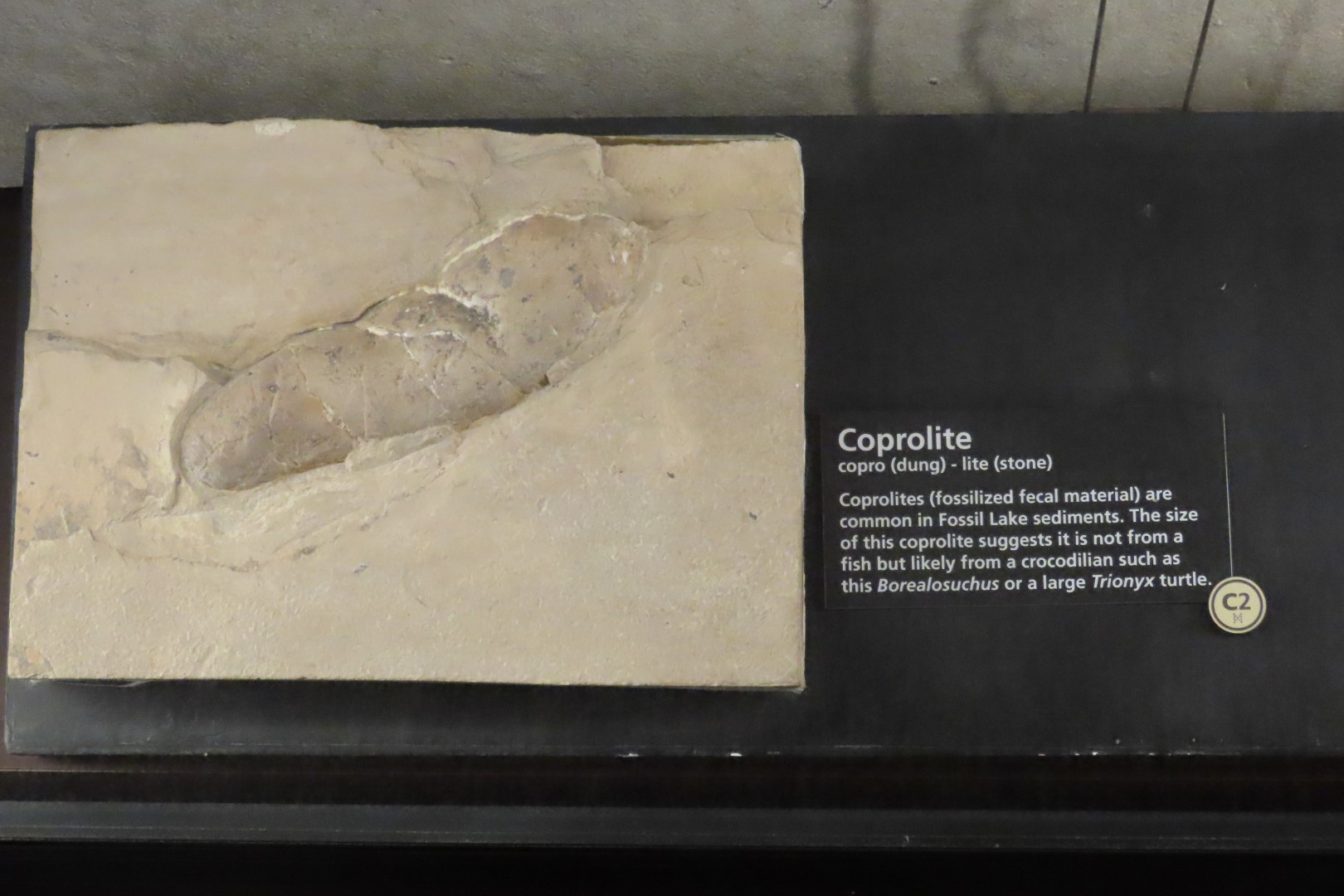 Fossil Butte National Monument 15 of 34 (#5384)