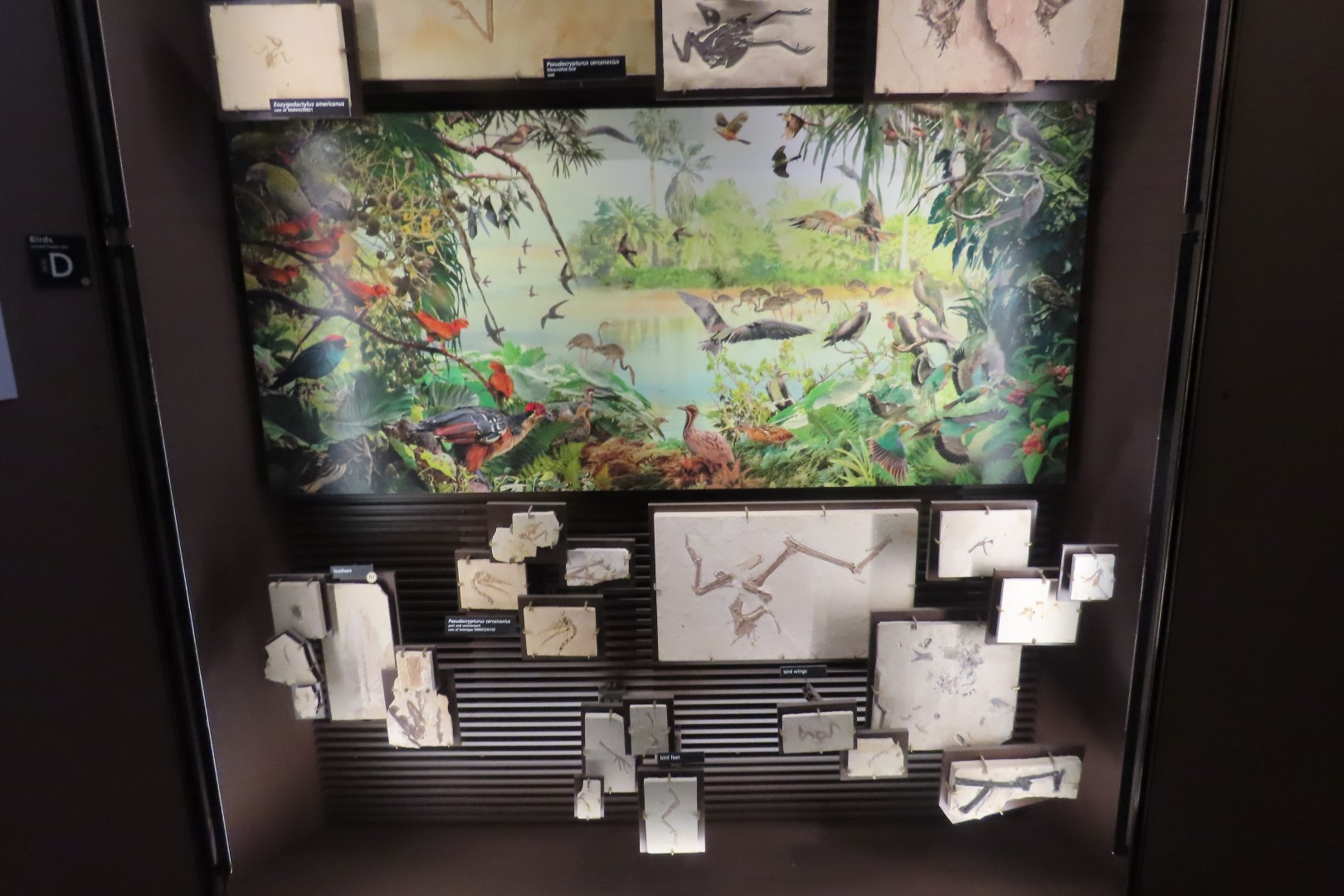 Fossil Butte National Monument 17 of 34 (#5386)