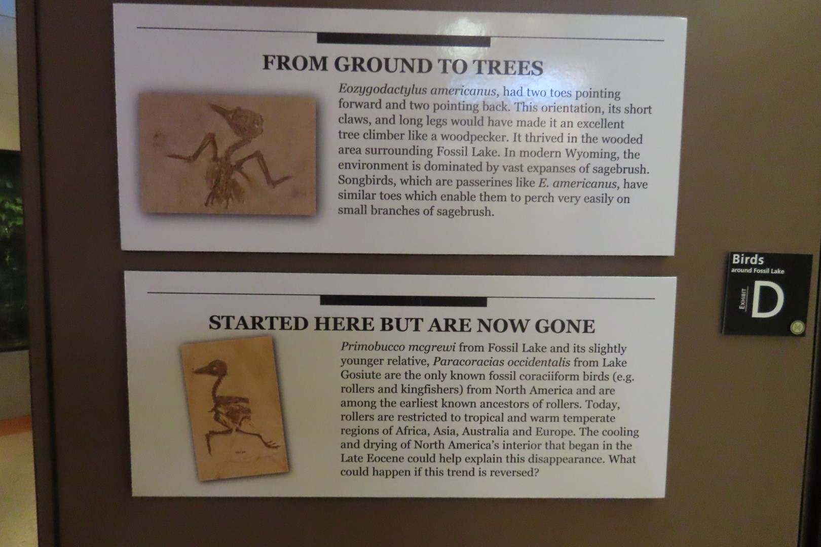 Fossil Butte National Monument 18 of 34 (#5387)