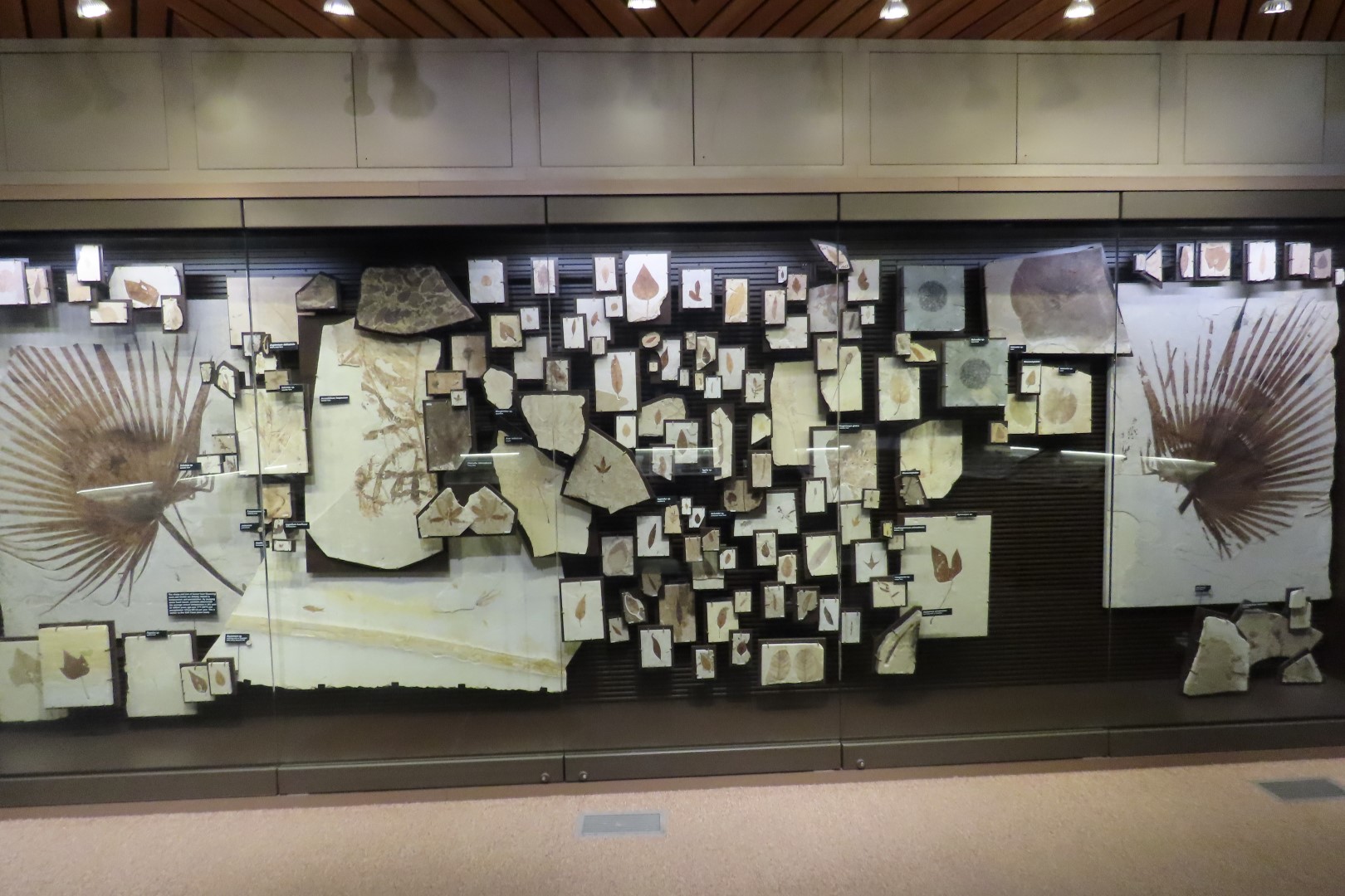 Fossil Butte National Monument 21 of 34 (#5390)