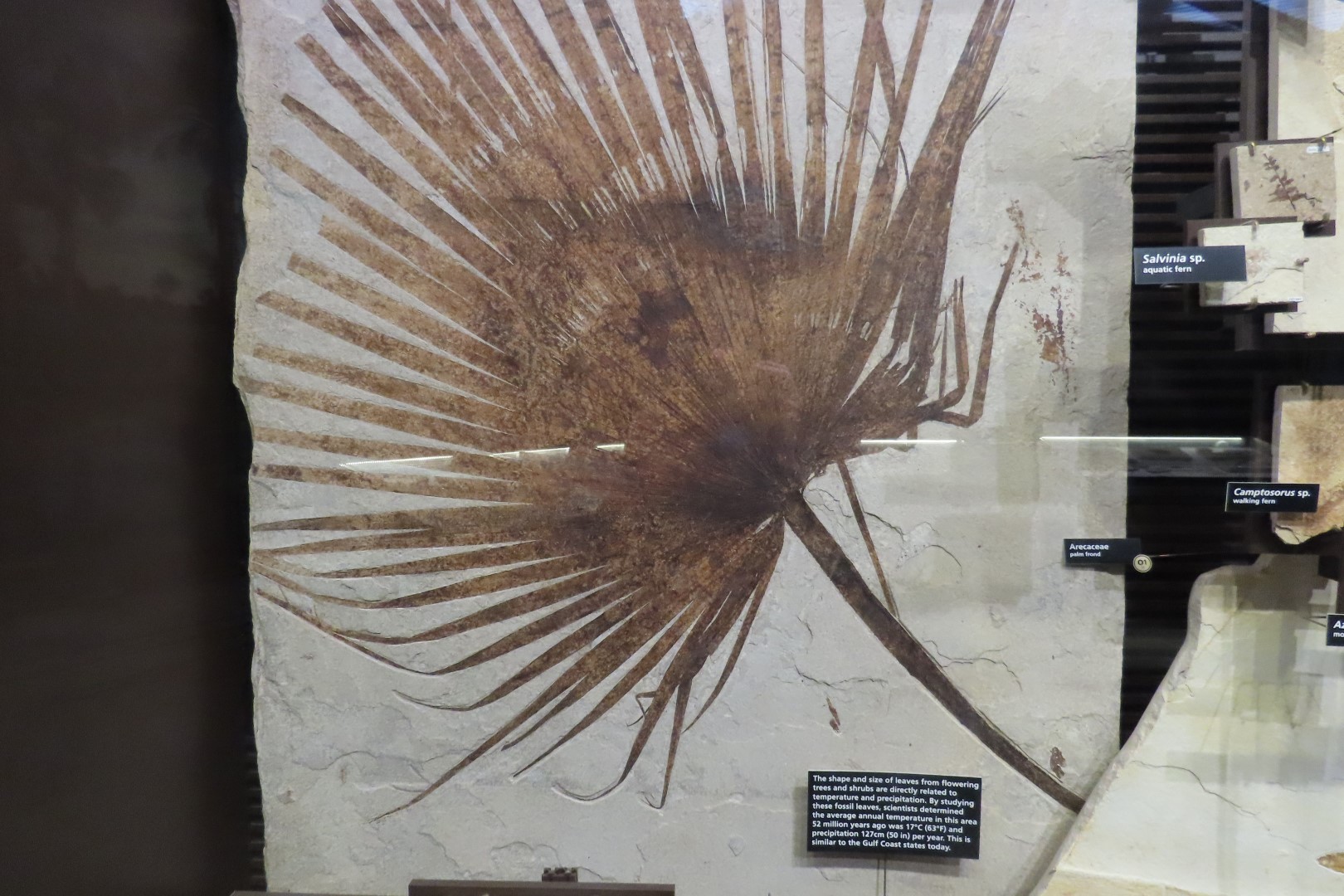 Fossil Butte National Monument 22 of 34 (#5391)