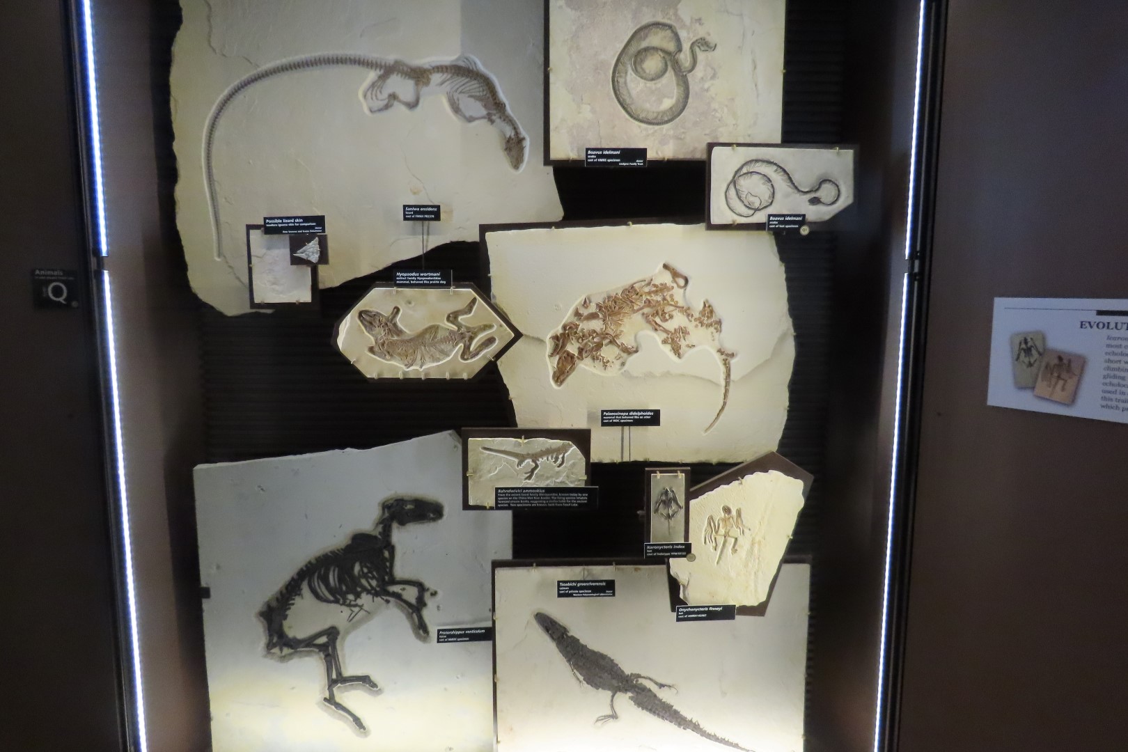 Fossil Butte National Monument 23 of 34 (#5392)