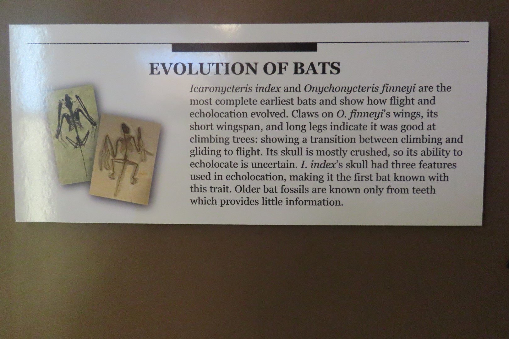 Fossil Butte National Monument 24 of 34 (#5393)