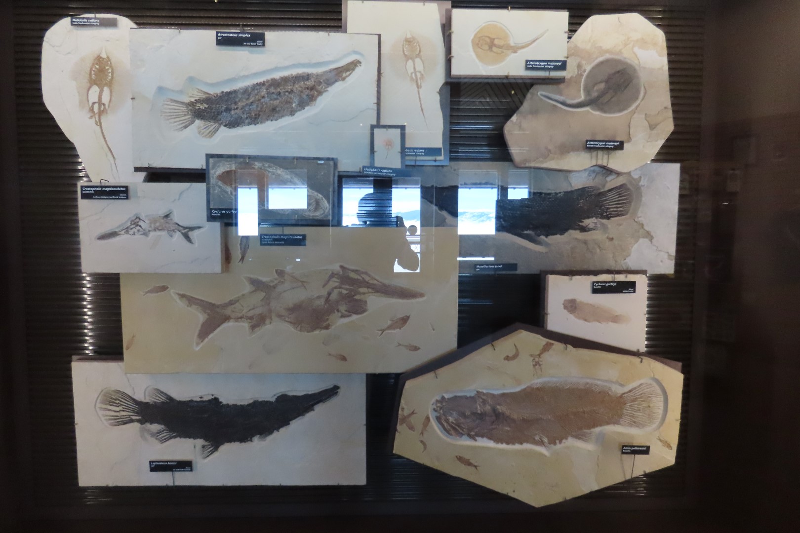 Fossil Butte National Monument 26 of 34 (#5395)