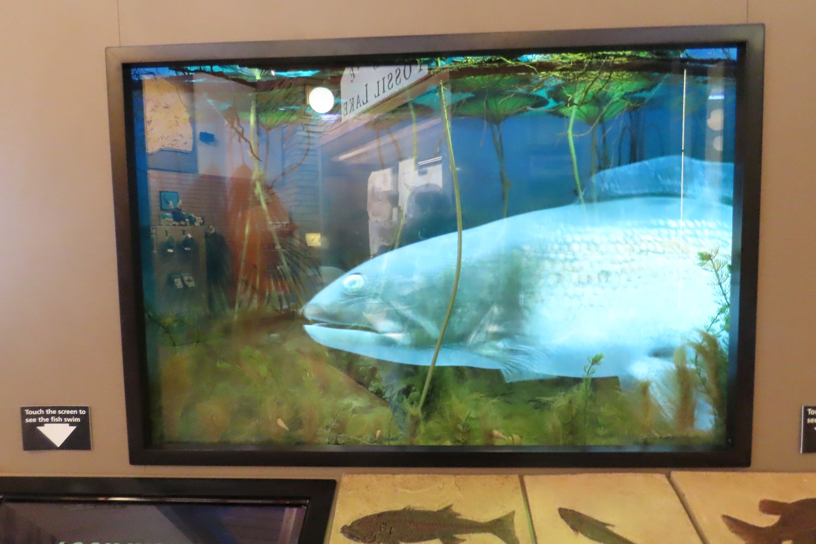 Fossil Butte National Monument 27 of 34 (#5396)