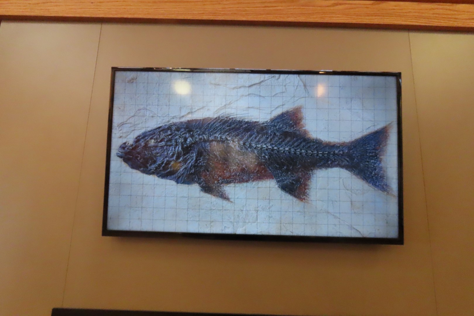 Fossil Butte National Monument 28 of 34 (#5397)