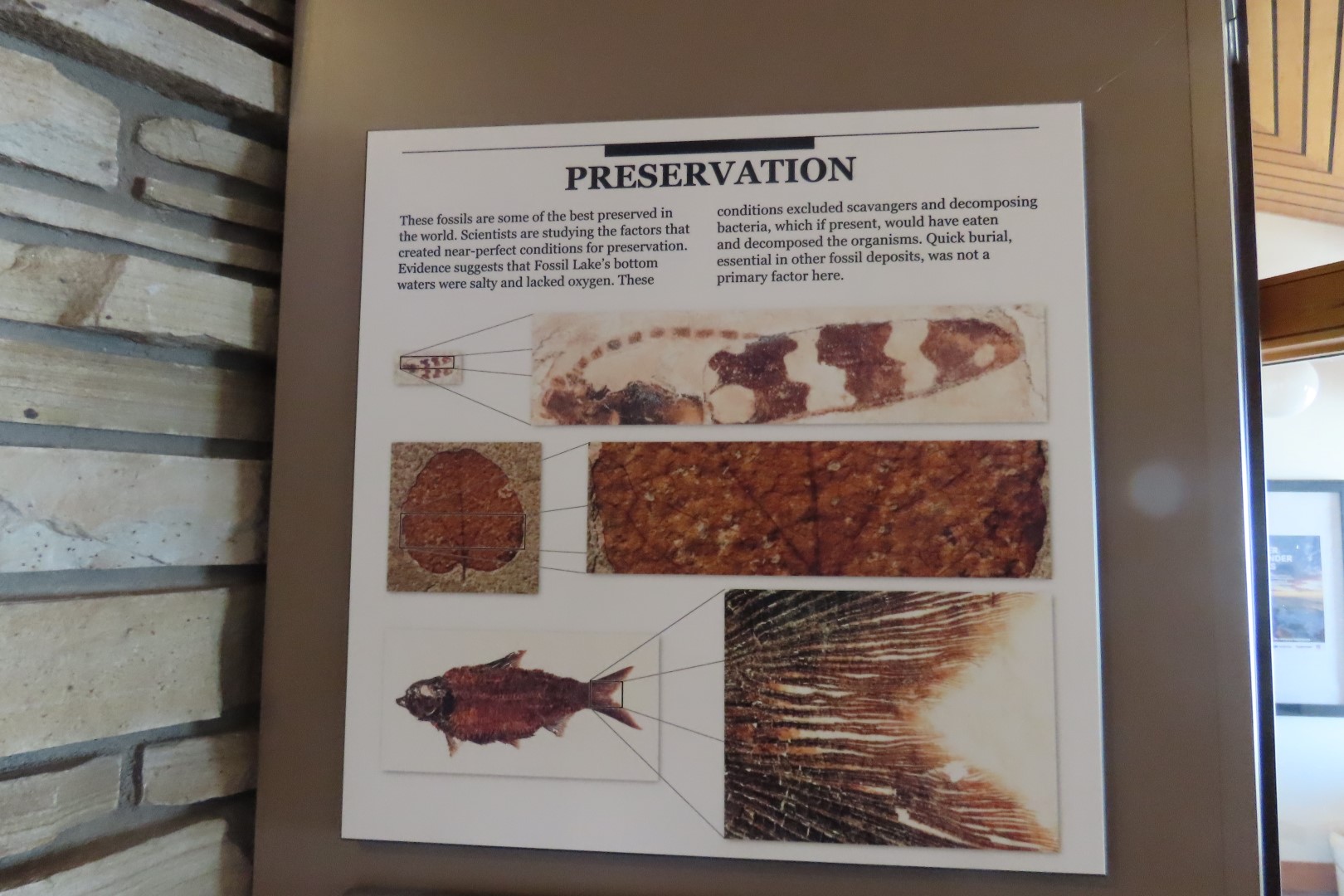 Fossil Butte National Monument 31 of 34 (#5400)