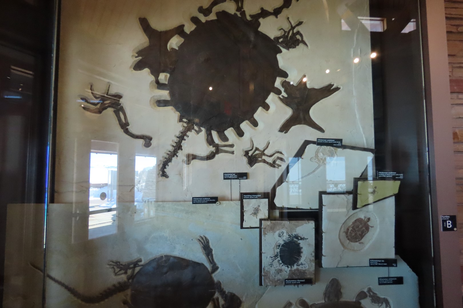 Fossil Butte National Monument 33 of 34 (#5402)